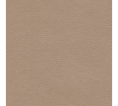 Chili moccasin иск. кожа