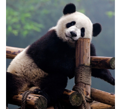 Купон 38.14 70*70