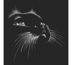 Купон 88.5 70*70