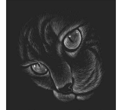 Купон 88.6 70*70