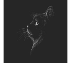 Купон 88.7 70*70