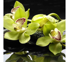 Купон 84.17 70*70