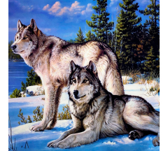 Купон 4.02 70*70