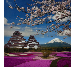 Купон 64.23 70*70