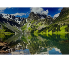 Купон 71.18 70*100