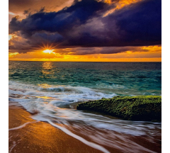 Купон 79.12 70*70