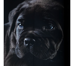 Купон 79.23 70*70