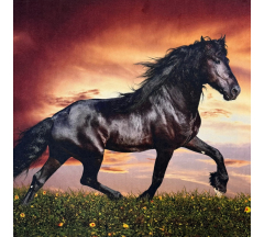 Купон 60.4 70*70