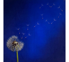 Купон 89.42 70*70