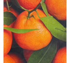 Купон 55.1 70*70