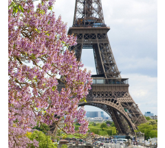 Купон Paris-262 70*70