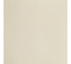 SPACE Cappuccino иск.кожа