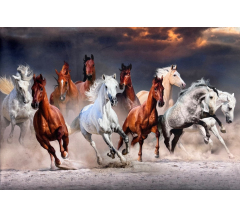 Купон 87.51-1 70*100