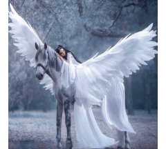 Купон 86.54 70*70